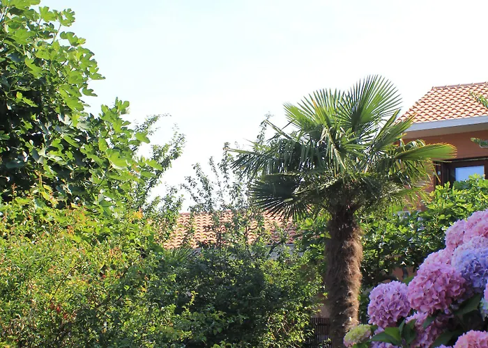 马林可酒店 3* 扎达尔