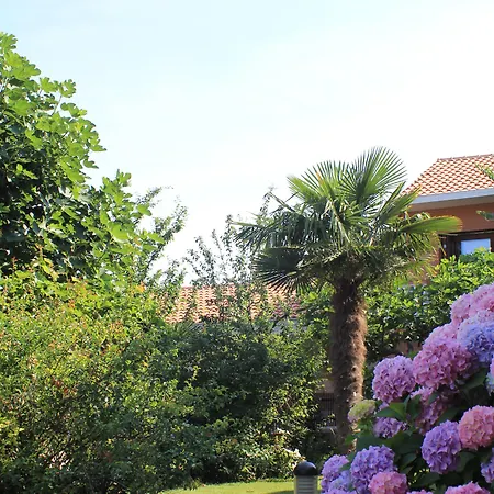 Marinko 3* זאדאר